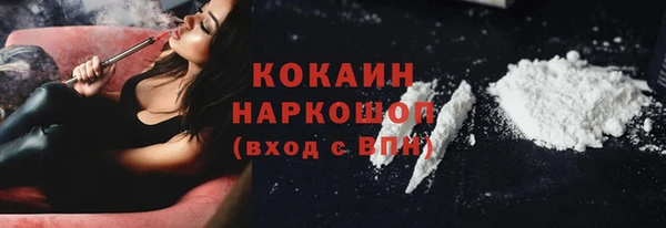 твердый Алексин